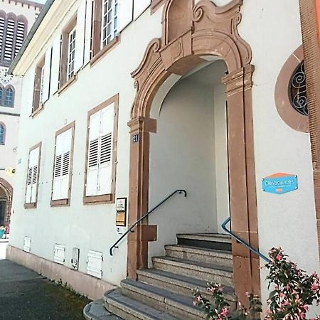 Apartamento Un Petit Nid Atypique Au Coeur De Munster Munster  Exterior foto