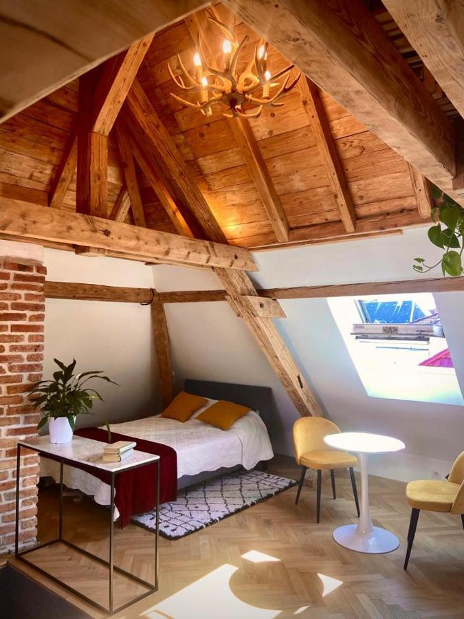 Apartamento Un Petit Nid Atypique Au Coeur De Munster Munster  Exterior foto